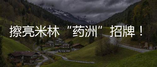 米林藏黄精林下种植现场