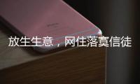 放生生意，网住落寞信徒丨记者手记