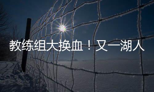换血汉迪猛龙三冠助教