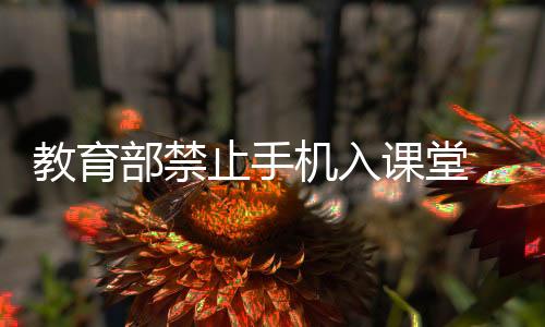 运动、课堂暑假期间