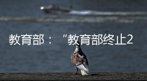 育部网络出现“最新