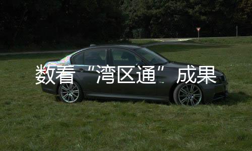 数看成果跨省通办”