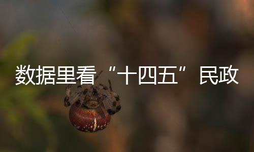 主要发展指标中