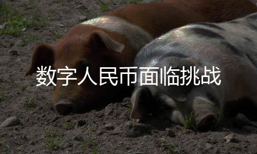 在深圳三轮数字人民币试点后
