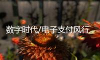 数字时代/电子支付风行内地	：用过谁愿放手
