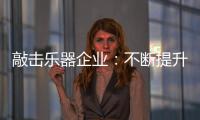 敲击乐器企业	：不断提升自身 将大数据转化为竞争优势