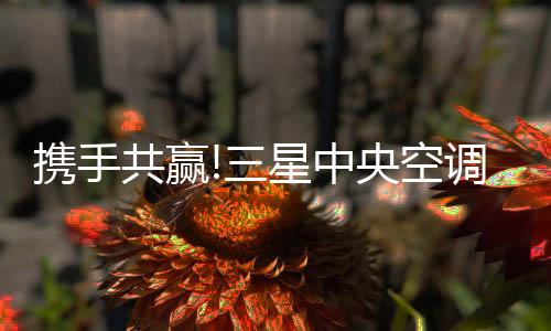空间区域上通力合作