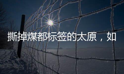 在57座观测城市中排名第八