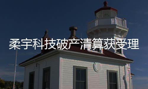 柔宇科技已经出现资金短缺