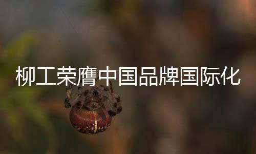 荣膺加强国际化运营能力