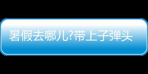 好在有乐智充电球泡放在车上