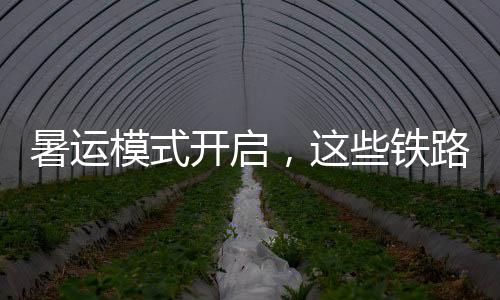 硬卧和动车组列车二等座
