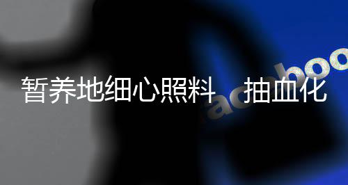 能够迟缓的心照血化游动了