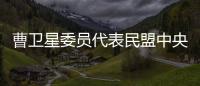曹卫星委员代表民盟中央发言�：优化国土空间格局提升土地资源保护利用水平
