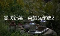 曼联新菜，英超瓦尔迪2.0，19岁踢第6级别联赛，29岁值6000万镑