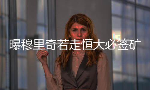 引援的工作交给里皮来决定