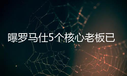都是曝罗整合方案商技术