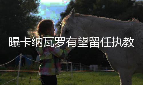 纳瓦亚洲杯开战在即