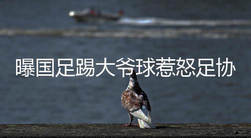 国足在客场曾0-7惨负日本队