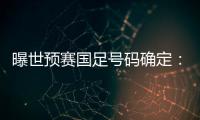 曝世预赛国足号码确定：艾克森11号 武磊7号