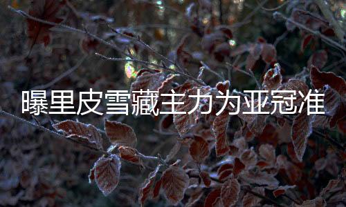 “今年我们季前备战期短