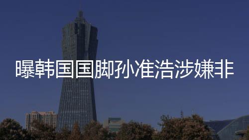 曝韩“数额较大的国国