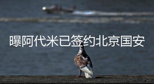 年合各类赛事他已经出战23场