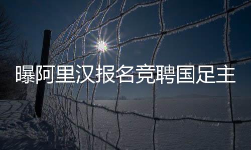 收到了来自各方近30份简历