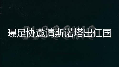 我们只与米哈伊洛维奇谈了