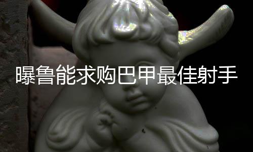 2013赛季一共打进22个进球