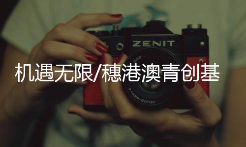 为港澳青年提供免费孵化服务