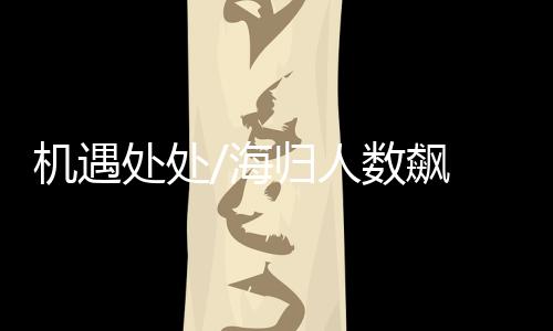处处通过“云面试”