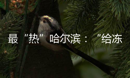 盘儿走在街上没几分钟