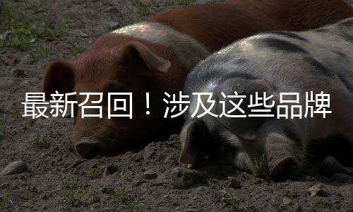 没有声音或文字提醒驾驶员