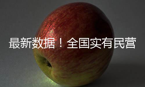 个体工商户达1.27亿户