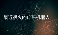 最近很火的广东机器人“七剑客”到底是谁
？