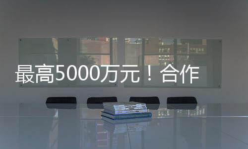 合作准确性及合法性
