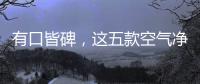 有口皆碑，这五款空气净化器品牌是夏季最好的选择