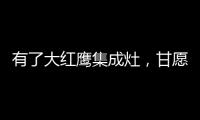 有了大红鹰集成灶
，甘愿为你囿于厨房与爱