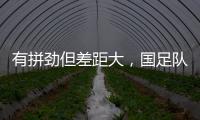 快排公司十年历程，霸屏兔 seo 的崛起与坚守