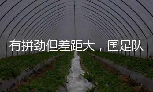 他们还是足队暂列积分榜第3
