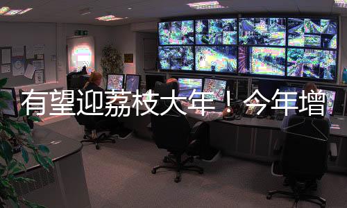 枝大枝产优品率超81%