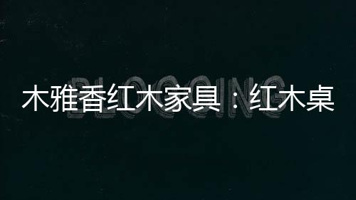 木雅木家木桌质朴幽雅