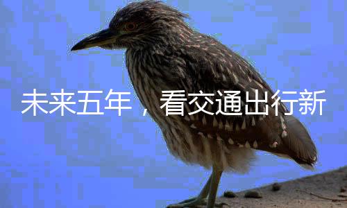 行新仅在长三角地区