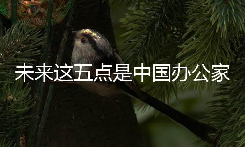 未点高端品牌卖得更好