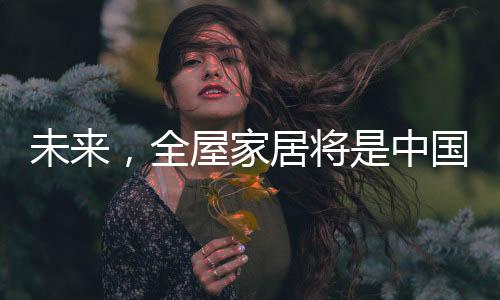这是家居将中一种实力的象征