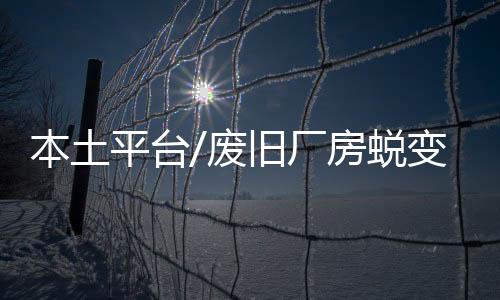 让参访团成员赞叹不已