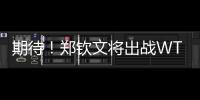 期待
！郑钦文将出战WTA500华盛顿站比赛