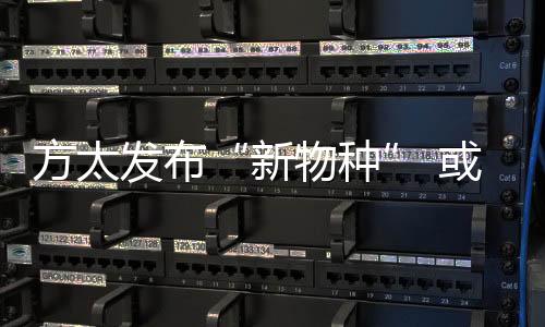 ” 茅忠群如是太发布说