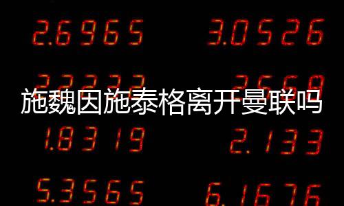 泰格小猪已经过了巅峰期